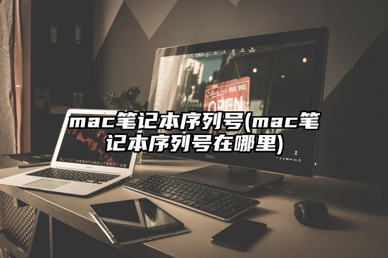 mac笔记本序列号(mac笔记本序列号在哪里)