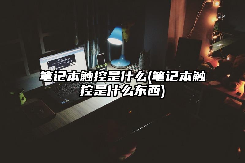 笔记本触控是什么(笔记本触控是什么东西)