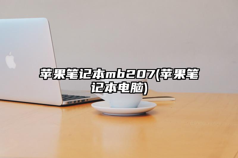 苹果笔记本mb207(苹果笔记本电脑)