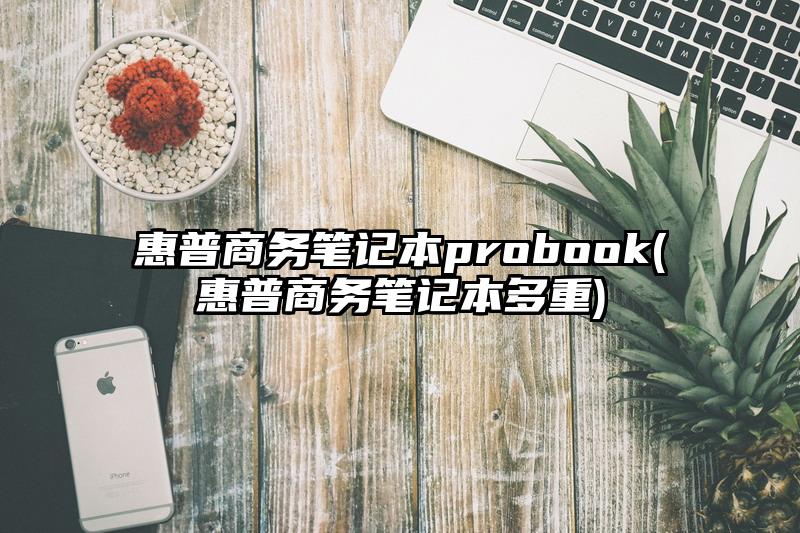 惠普商务笔记本probook(惠普商务笔记本多重)