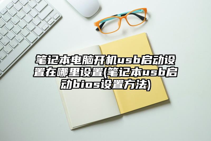 笔记本电脑开机usb启动设置在哪里设置(笔记本usb启动bios设置方法)