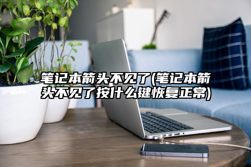 笔记本箭头不见了(笔记本箭头不见了按什么键恢复正常)