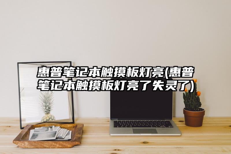 惠普笔记本触摸板灯亮(惠普笔记本触摸板灯亮了失灵了)