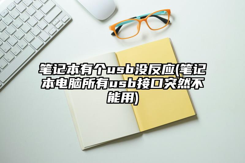 笔记本有个usb没反应(笔记本电脑所有usb接口突然不能用)