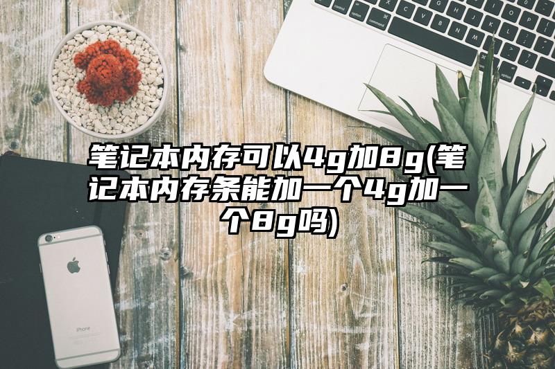 笔记本内存可以4g加8g(笔记本内存条能加一个4g加一个8g吗)