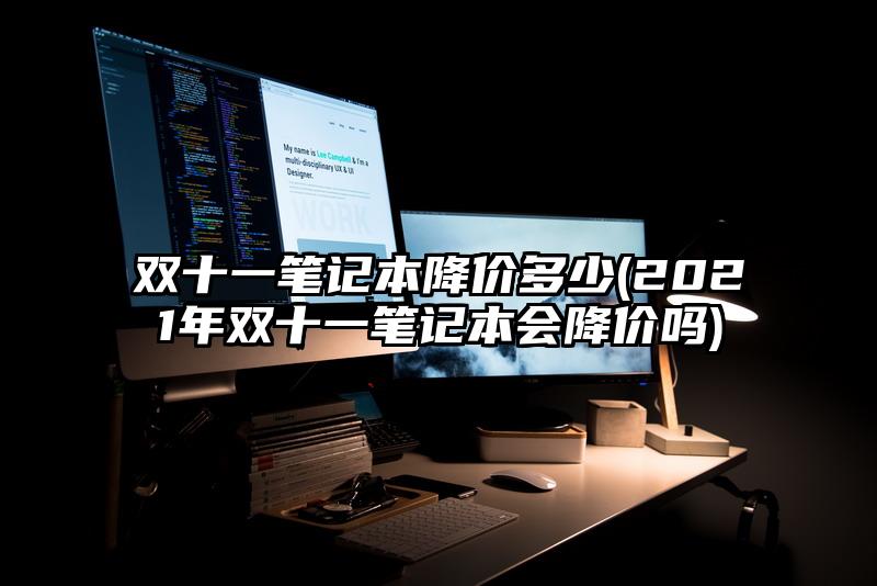 双十一笔记本降价多少(2021年双十一笔记本会降价吗)