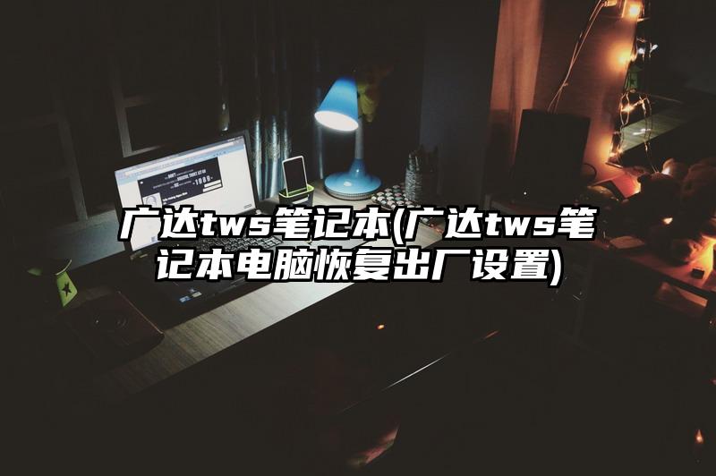 广达tws笔记本(广达tws笔记本电脑恢复出厂设置)