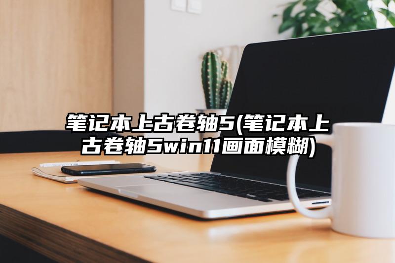 笔记本上古卷轴5(笔记本上古卷轴5win11画面模糊)