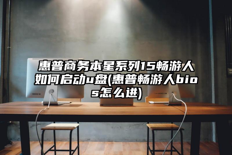 惠普商务本星系列15畅游人如何启动u盘(惠普畅游人bios怎么进)