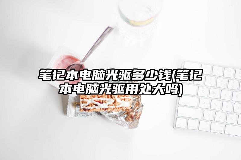 笔记本电脑光驱多少钱(笔记本电脑光驱用处大吗)