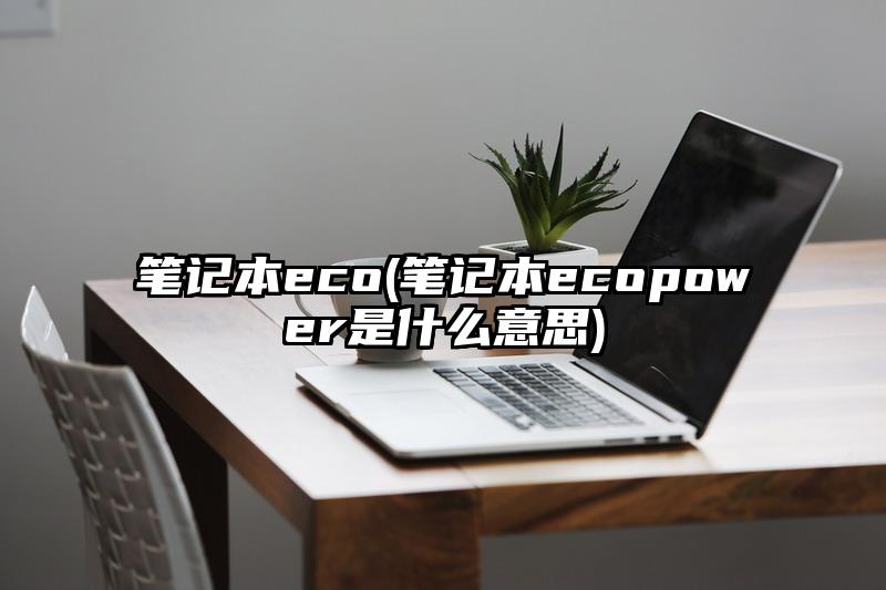 笔记本eco(笔记本ecopower是什么意思)