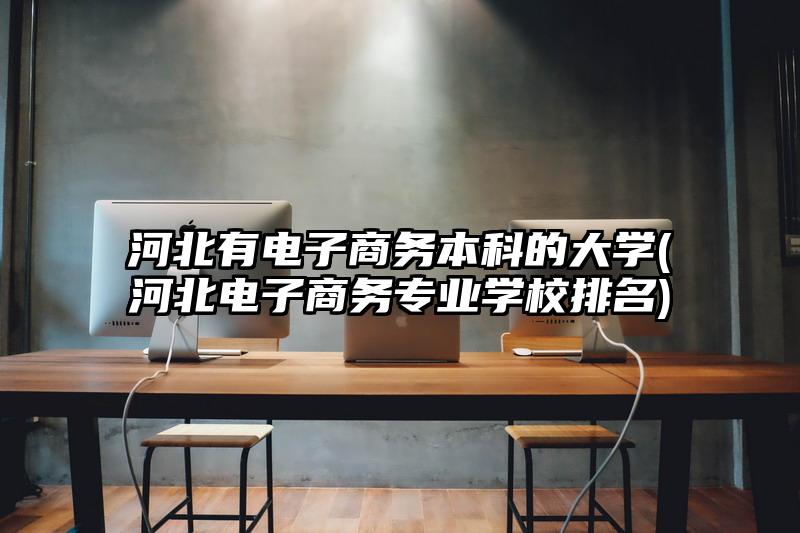 河北有电子商务本科的大学(河北电子商务专业学校排名)