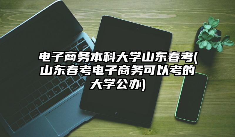 电子商务本科大学山东春考(山东春考电子商务可以考的大学公办)