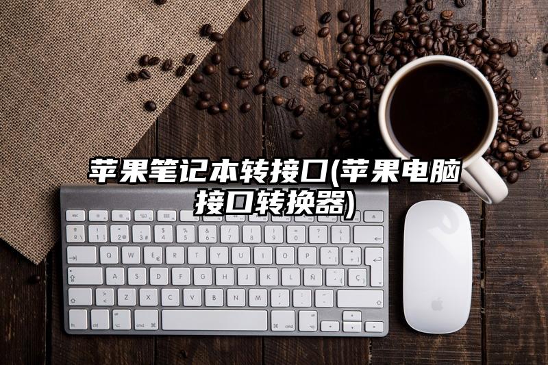 苹果笔记本转接囗(苹果电脑接口转换器)