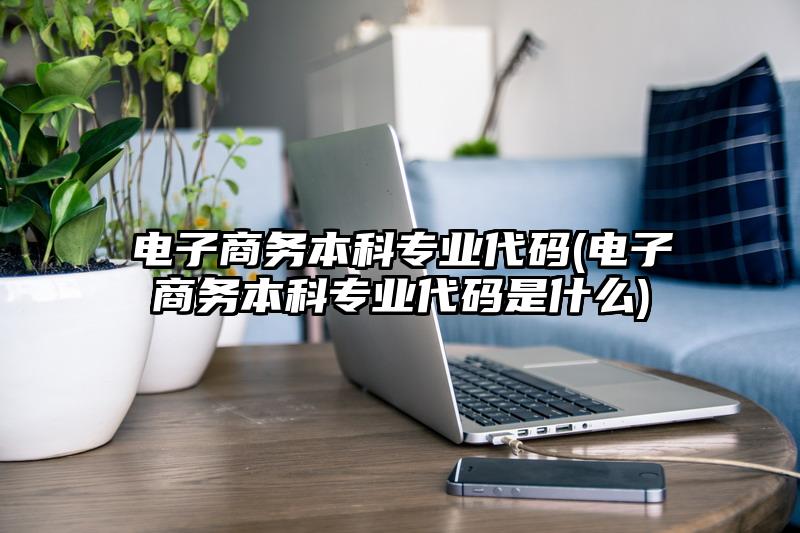 电子商务本科专业代码(电子商务本科专业代码是什么)