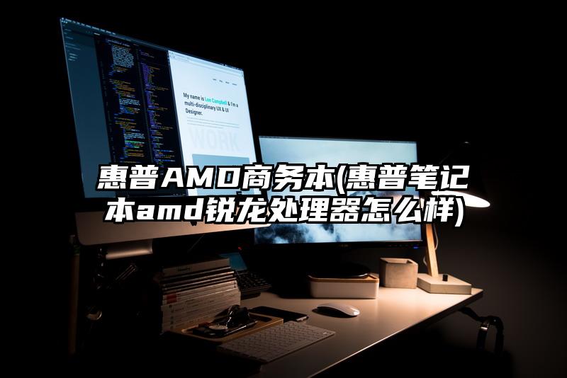 惠普AMD商务本(惠普笔记本amd锐龙处理器怎么样)