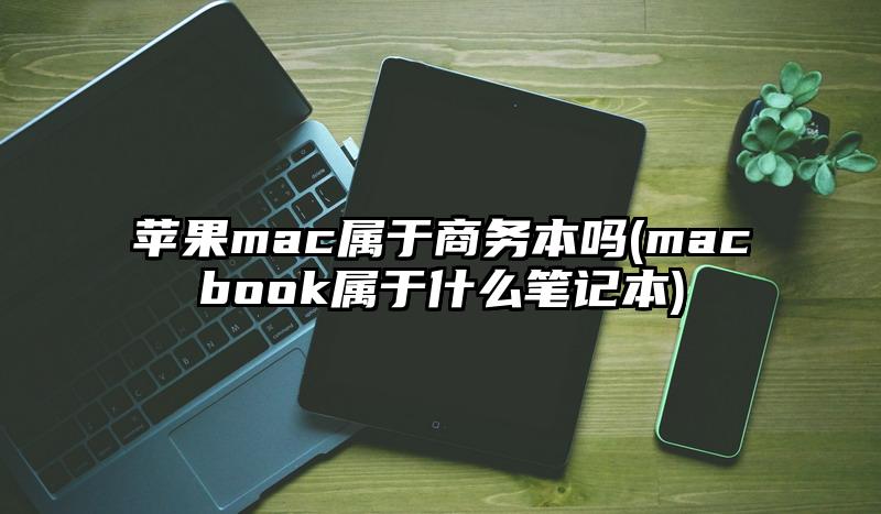 苹果mac属于商务本吗(macbook属于什么笔记本)