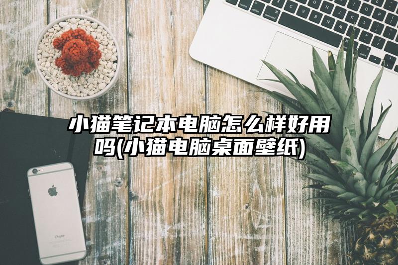 小猫笔记本电脑怎么样好用吗(小猫电脑桌面壁纸)