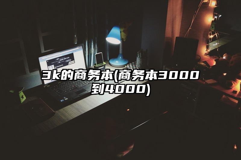 3k的商务本(商务本3000到4000)