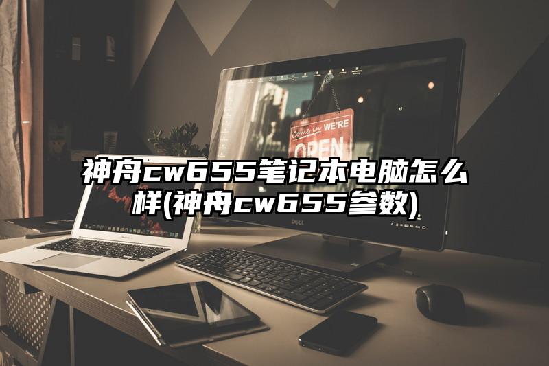 神舟cw655笔记本电脑怎么样(神舟cw655参数)