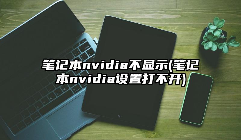 笔记本nvidia不显示(笔记本nvidia设置打不开)