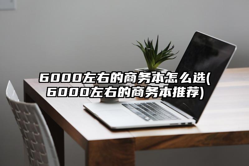 6000左右的商务本怎么选(6000左右的商务本推荐)