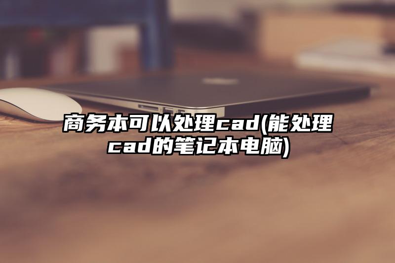 商务本可以处理cad(能处理cad的笔记本电脑)