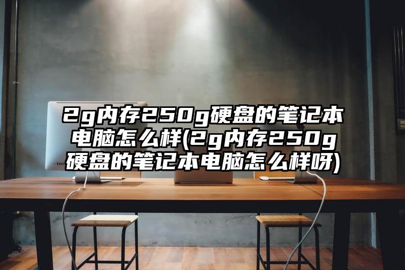 2g内存250g硬盘的笔记本电脑怎么样(2g内存250g硬盘的笔记本电脑怎么样呀)