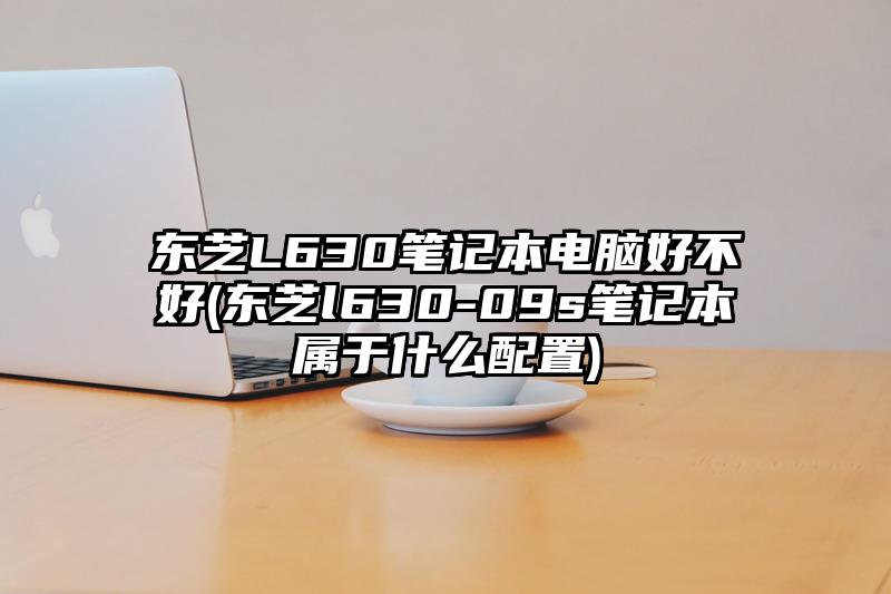 东芝L630笔记本电脑好不好(东芝l630-09s笔记本属于什么配置)