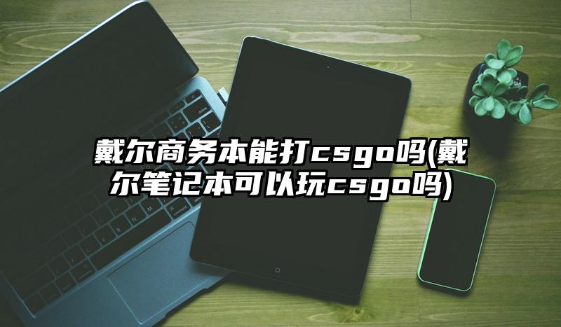 戴尔商务本能打csgo吗(戴尔笔记本可以玩csgo吗)