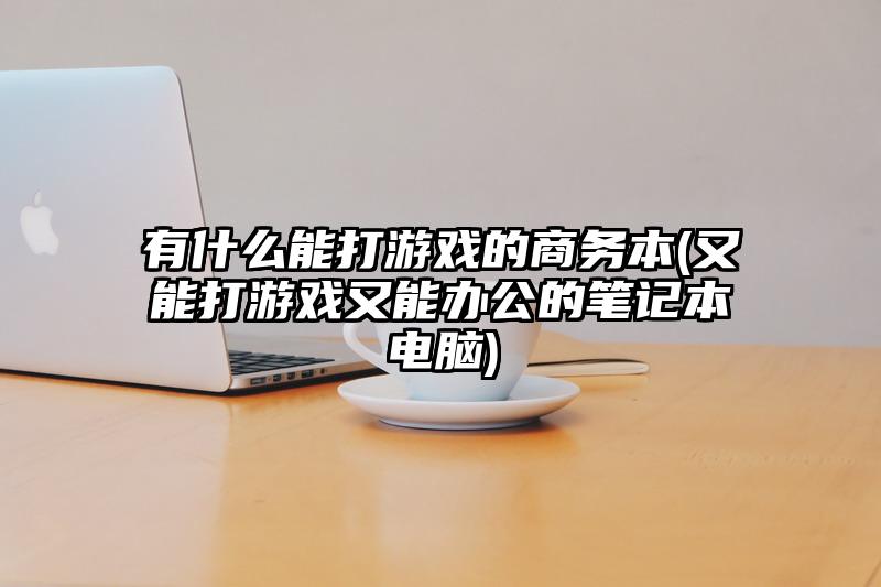 有什么能打游戏的商务本(又能打游戏又能办公的笔记本电脑)