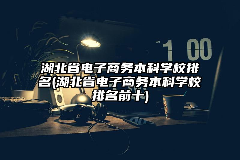 湖北省电子商务本科学校排名(湖北省电子商务本科学校排名前十)