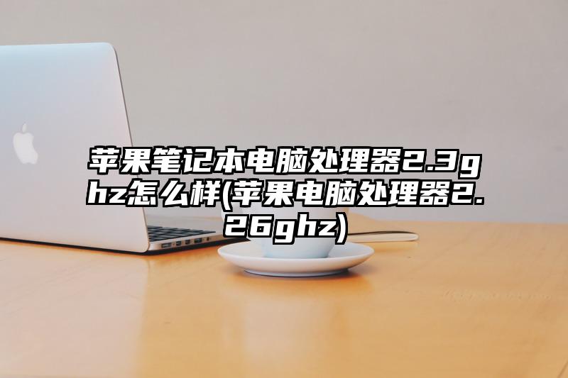 苹果笔记本电脑处理器2.3ghz怎么样(苹果电脑处理器2.26ghz)