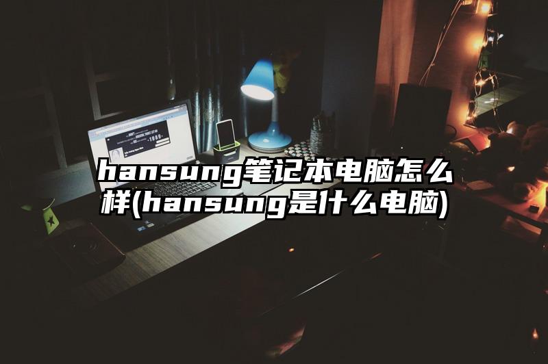 hansung笔记本电脑怎么样(hansung是什么电脑)