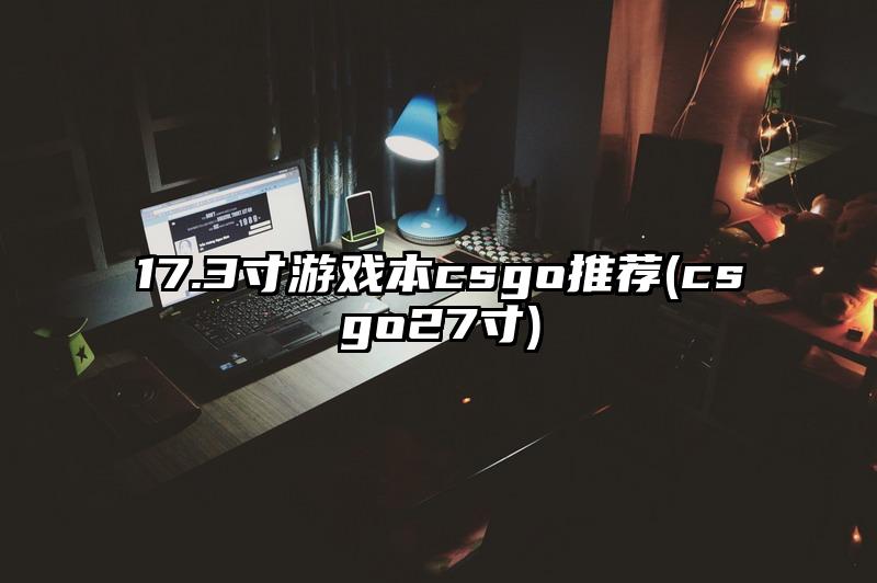 17.3寸游戏本csgo推荐(csgo27寸)