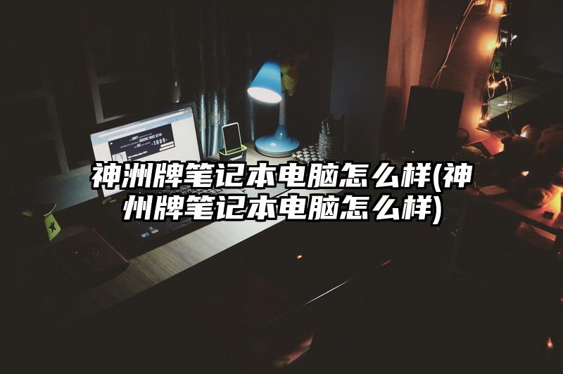 神洲牌笔记本电脑怎么样(神州牌笔记本电脑怎么样)