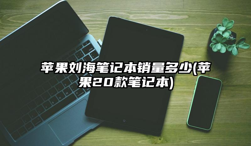 苹果刘海笔记本销量多少(苹果20款笔记本)