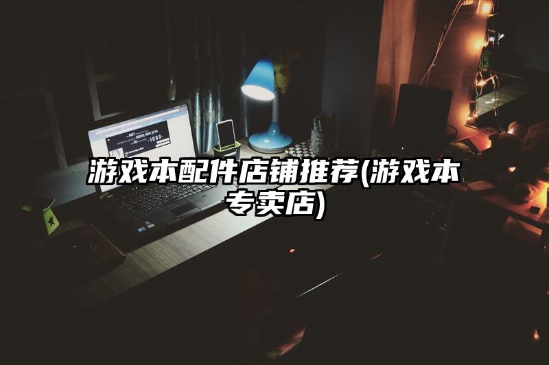 游戏本配件店铺推荐(游戏本专卖店)
