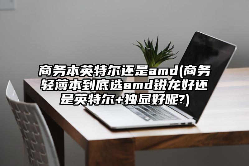 商务本英特尔还是amd(商务轻薄本到底选amd锐龙好还是英特尔+独显好呢?)