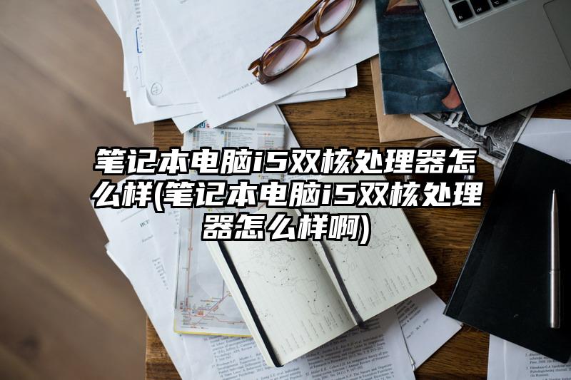 笔记本电脑i5双核处理器怎么样(笔记本电脑i5双核处理器怎么样啊)