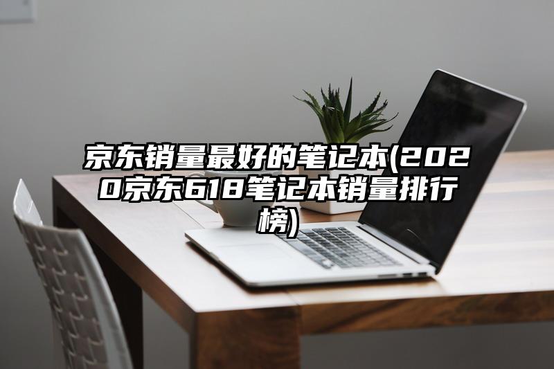 京东销量最好的笔记本(2020京东618笔记本销量排行榜)