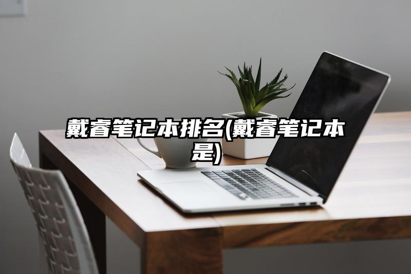 戴睿笔记本排名(戴睿笔记本是)