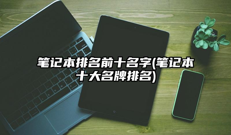 笔记本排名前十名字(笔记本十大名牌排名)