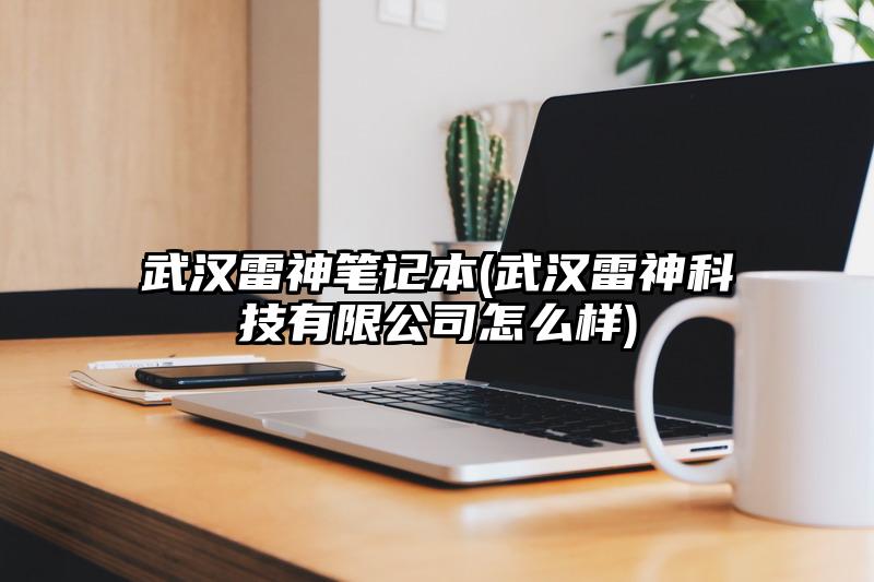 武汉雷神笔记本(武汉雷神科技有限公司怎么样)