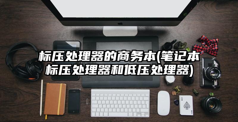 标压处理器的商务本(笔记本标压处理器和低压处理器)