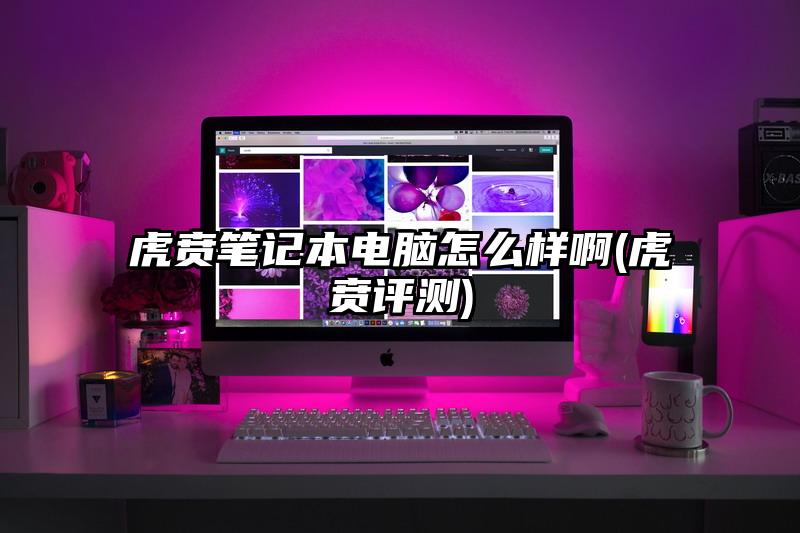 虎贲笔记本电脑怎么样啊(虎贲评测)