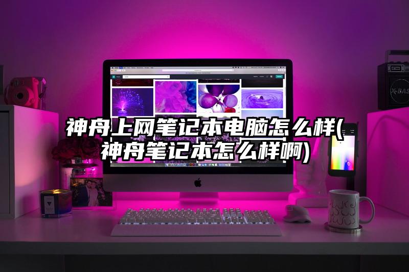 神舟上网笔记本电脑怎么样(神舟笔记本怎么样啊)
