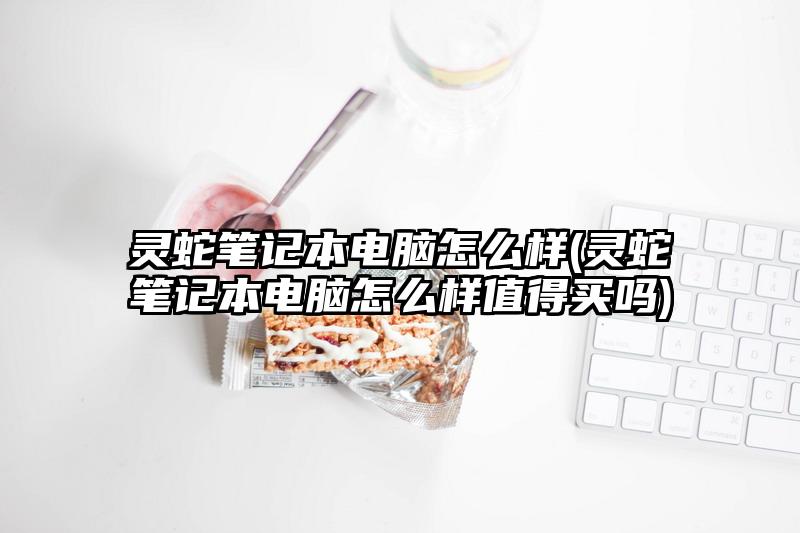 灵蛇笔记本电脑怎么样(灵蛇笔记本电脑怎么样值得买吗)
