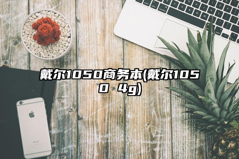 戴尔1050商务本(戴尔1050 4g)