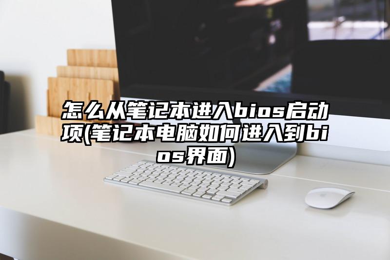 怎么从笔记本进入bios启动项(笔记本电脑如何进入到bios界面)